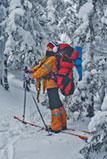 Движение на лыжах по уральской тайге